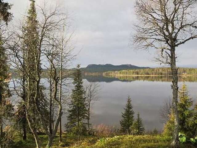 Дома для отпуска Holiday Home Rukaniemen kontio Рука-46